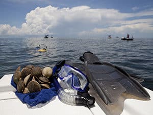 scalloping charters with blue heaven