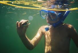 Scalloping in Crystal River