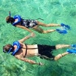 snorkeling and scalloping