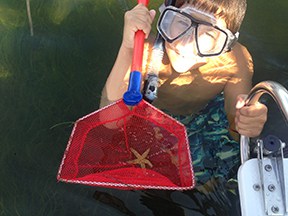 Sebbatical charters crystal river scalloping