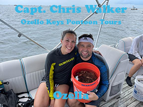Crystal River scalloping with Sebbatical Charters